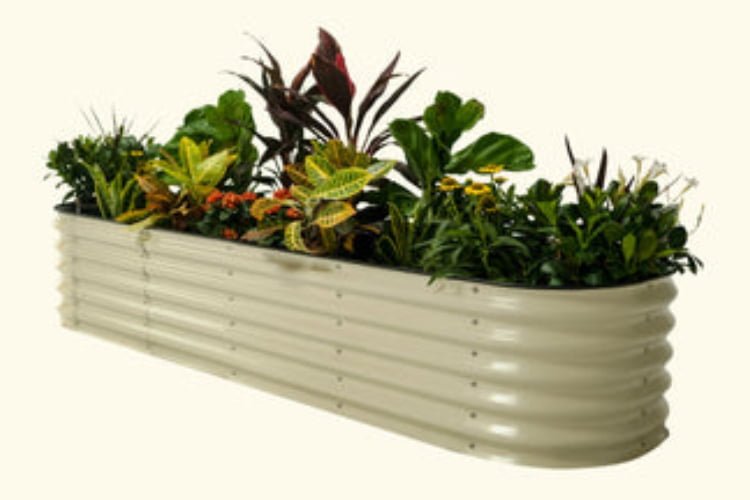 An Easy Guide to Gardening with Galvanized Raised Bed Planter